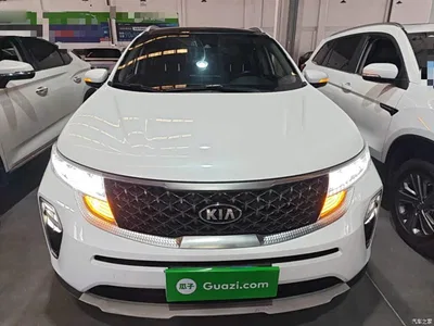 2019 Kia KX5 1.6T Automatic 2WD Luxury Edition, фото 3, лот 11550182