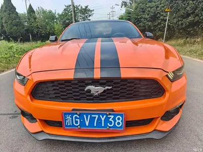 2017 Ford Mustang 2.3T Performance Edition, фото 1, лот 11139657