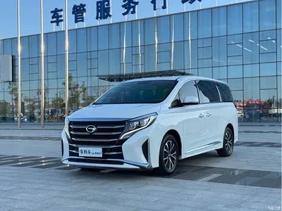 2021 GAC Trumpchi Trumpchi M8 Leading Show Series 390T Premium Edition, фото 3, лот 10415964