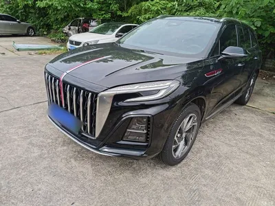 2024 Hongqi HS3 PHEV PHEV 115km Power Edition, фото 1, лот 10289612