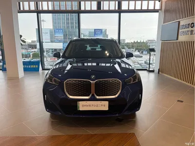 2023 BMW iX1 xDrive30L M Sport Package, фото 2, лот 11497050