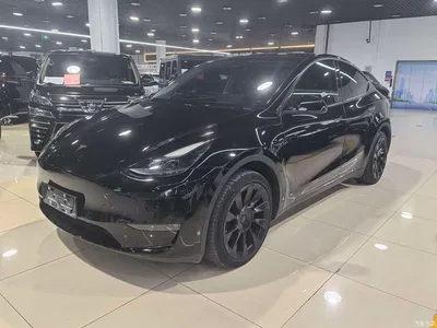 2023 Tesla Model Y Long Range All-Wheel Drive Edition, фото 3, лот 11023465