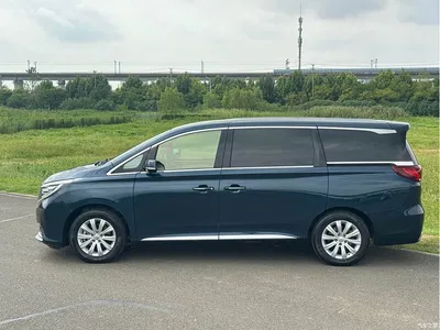 2018 GAC Trumpchi Trumpchi M8 320T Exclusive Edition, фото 3, лот 10417718