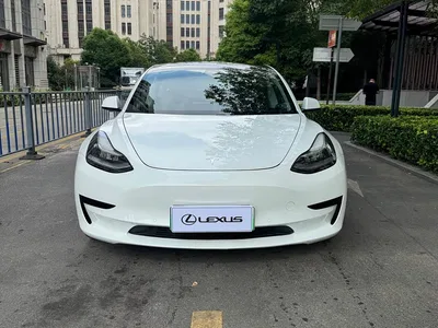 2019 Tesla Model 3 Standard Range Rear-Wheel Drive Upgrade, фото 2, лот 11073151