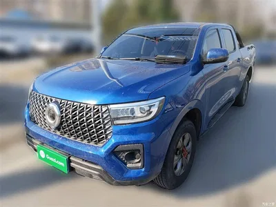 2023 Great Wall Pao 2.0T Commercial Auto Diesel 4WD Elite Long Box GW4D20M, фото 1, лот 10248924
