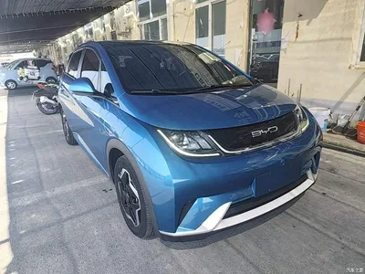 2021 BYD Dolphin Model 405km Fashion Edition, фото 4, лот 10258736