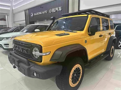 2022 Tank 300 2.0T Border Limited Edition, фото 1, лот 10451061