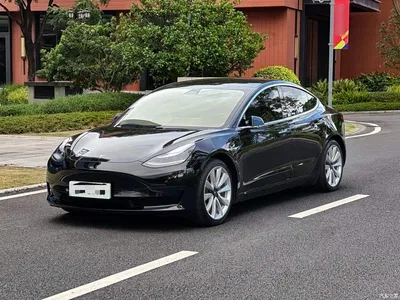 2020 Tesla Model 3 Standard Range Rear-Wheel Drive Upgrade, фото 1, лот 10369213