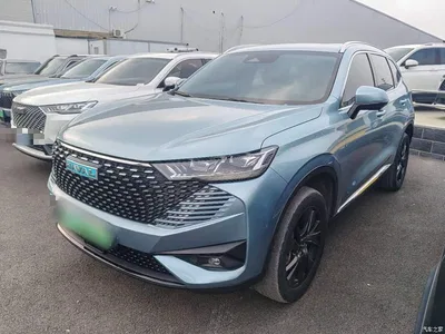 2023 Haval H6 New Energy DHT-PHEV 110KM Joy Ride Edition, фото 2, лот 10302389