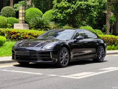 2024 Porsche Panamera 2.9T, фото 1, лот 10400126