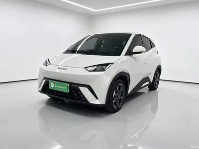 2024 BYD Seagull Glory Edition 305km Freedom Edition, фото 2, лот 10262812