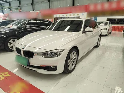 2017 BMW 3 Series 320Li Fashion, фото 1, лот 11135714