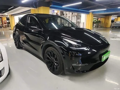 2023 Tesla Model Y Long Range All-Wheel Drive Edition, фото 4, лот 10370533