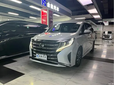 2023 GAC Trumpchi Trumpchi M8 Leading Series 390T Premium Edition, фото 4, лот 10419516