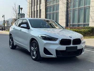 2021 BMW X2 sDrive25i Leading M Sport Package, фото 3, лот 10475510