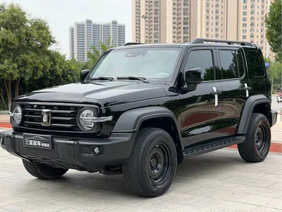 2024 Tank 300 Model 2.0T Challenger, фото 1, лот 10344282