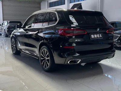 2019 BMW X5 (Import) xDrive30i M Sport Package, фото 4, лот 10446628