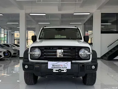 2021 Tank 300 Off-road Version 2.0T Conqueror, фото 2, лот 11199217