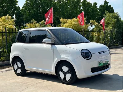 2024 Changan Qiyuan Changan Lumin 301km Voyage Edition, фото 1, лот 10407779