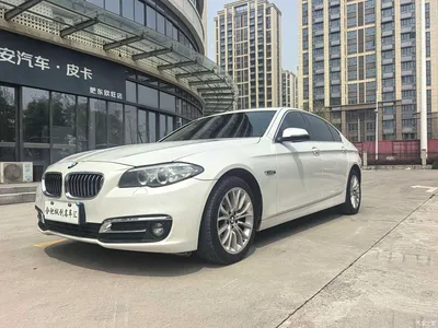 2017 BMW 5 Series 520Li Classic Edition, фото 1, лот 10443854