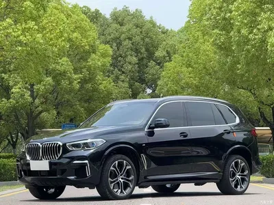 2022 BMW X5 xDrive 40Li Premium M Sport Package, фото 1, лот 10238839