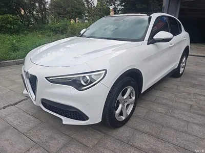 2017 Alfa Romeo Stelvio 2.0T 200HP Elite, фото 2, лот 10240294