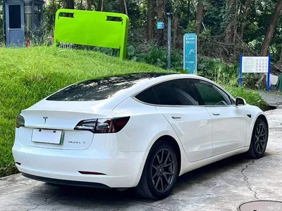 2020 Tesla Model 3 Standard Range Rear-Wheel Drive Upgrade, фото 3, лот 11212217