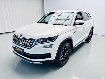 2020 Škoda Kodiaq TSI330 5-Seater 2WD Luxury Premium Edition, фото 1, лот 10398084