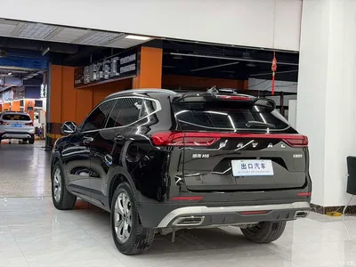 2021 Haval H6 National Trend Edition 2.0GDIT Automatic Champion, фото 4, лот 10281976