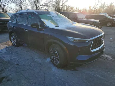 2023 INFINITI QX60 SENSORY, фото 4, лот 10884453