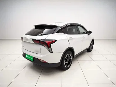2021 Nezha Auto Nezha V Long Range Entertainment Upgrade, фото 4, лот 10823883