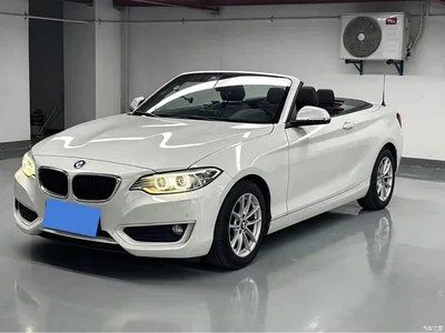 2015 BMW 2 Series (Import) 218i Convertible Coupe, фото 1, лот 10471445