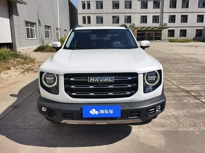 2022 Haval Big Dog 1.5T DCT FWD Labrador Edition, фото 2, лот 10401101