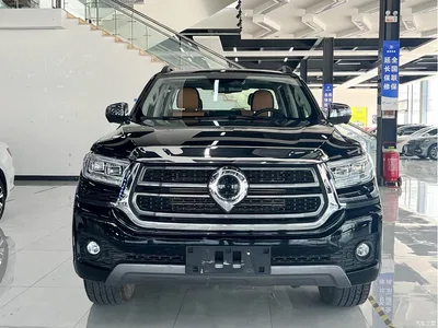 2023 Great Wall Pao 2.0T Passenger Automatic Diesel 4WD Sport GW4D20M, фото 2, лот 10246022
