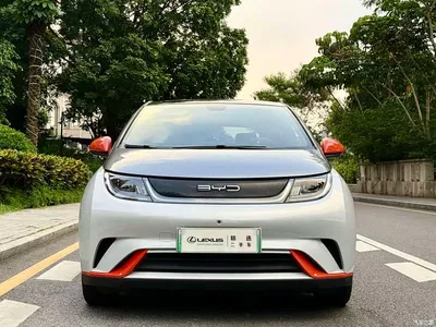2021 BYD Dolphin Model 405km Fashion Edition, фото 2, лот 10255061