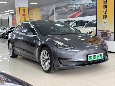 2019 Tesla Model 3 Standard Range Rear-Wheel Drive Upgrade, фото 3, лот 10350688