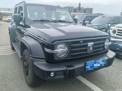 2024 Tank 300 Model 2.0T Challenger, фото 3, лот 10400514