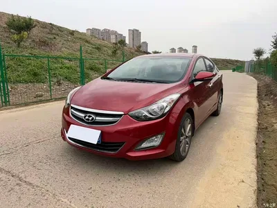 2015 Hyundai Langdong 1.6L Auto Premium, фото 1, лот 11137083