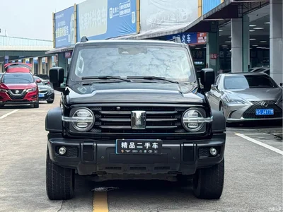 2021 Tank 300 Off-road Version 2.0T Conqueror, фото 2, лот 10345099