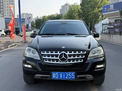 2010 Mercedes-Benz M-Class ML 300 4MATIC, фото 2, лот 10403762