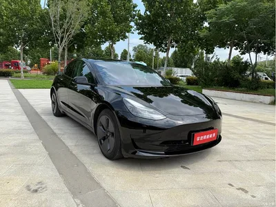 2022 Tesla Model 3 Model Rear-Wheel Drive Version, фото 4, лот 10346439
