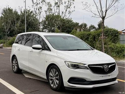 2019 Buick GL6, фото 3, лот 10244884