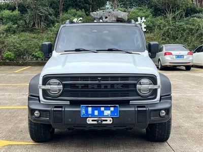 2021 Tank 300 Off-road Edition 2.0T Explorer, фото 2, лот 11565706