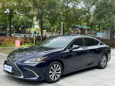 2021 Lexus ES 200 Luxury Edition, фото 1, лот 11584969