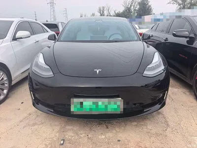 2021 Tesla Model 3 Standard Range Rear-Wheel Drive Upgrade 3D6, фото 2, лот 10451275