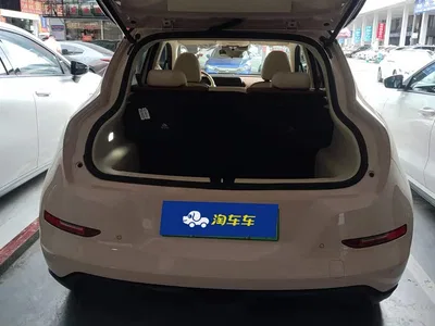2024 Ora Good Cat 401km Premium 126kW, фото 4, лот 10447852