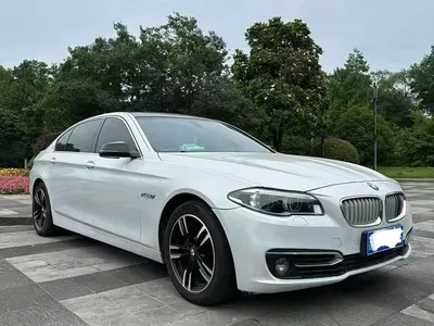 2014 BMW 5 Series 525Li Leading, фото 1, лот 10445549