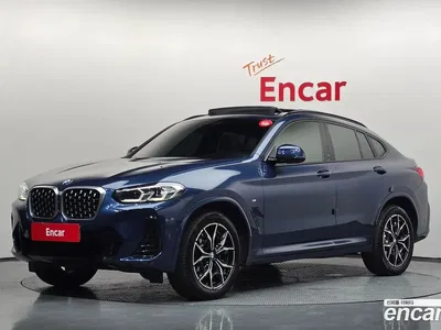 2024 BMW X4 xDrive20i M Sport, фото 1, лот 10213069