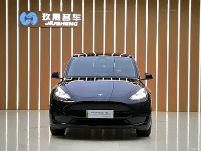2022 Tesla Model Y Facelift Rear-Wheel Drive Version, фото 2, лот 10397868