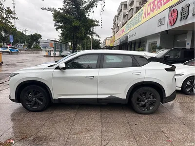 2024 Dongfeng Aeolus SKY EV01 445km PRO, фото 3, лот 10410978